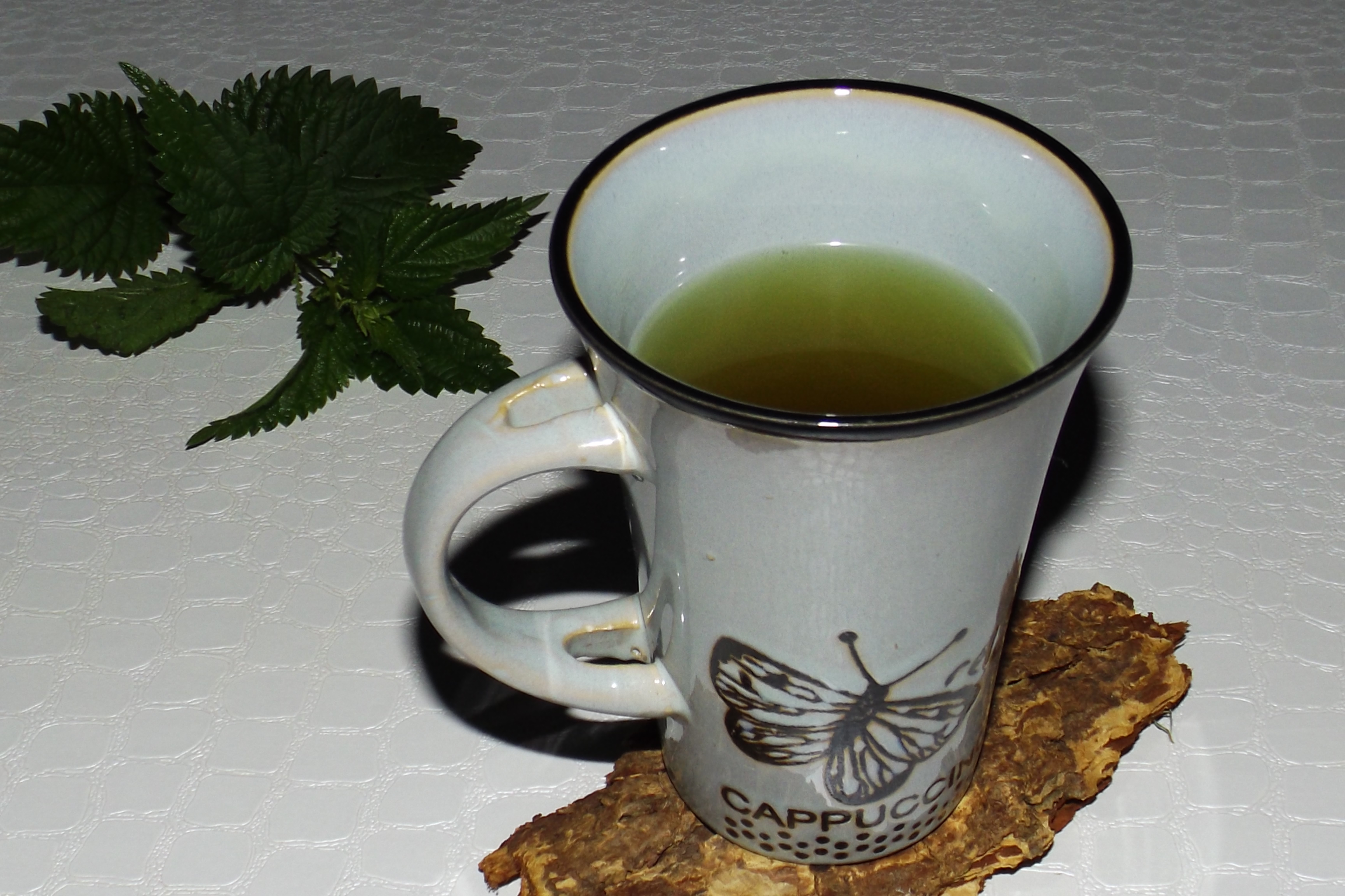 Tisane d&rsquo;ortie (boisson amincissante brûle-graisse)