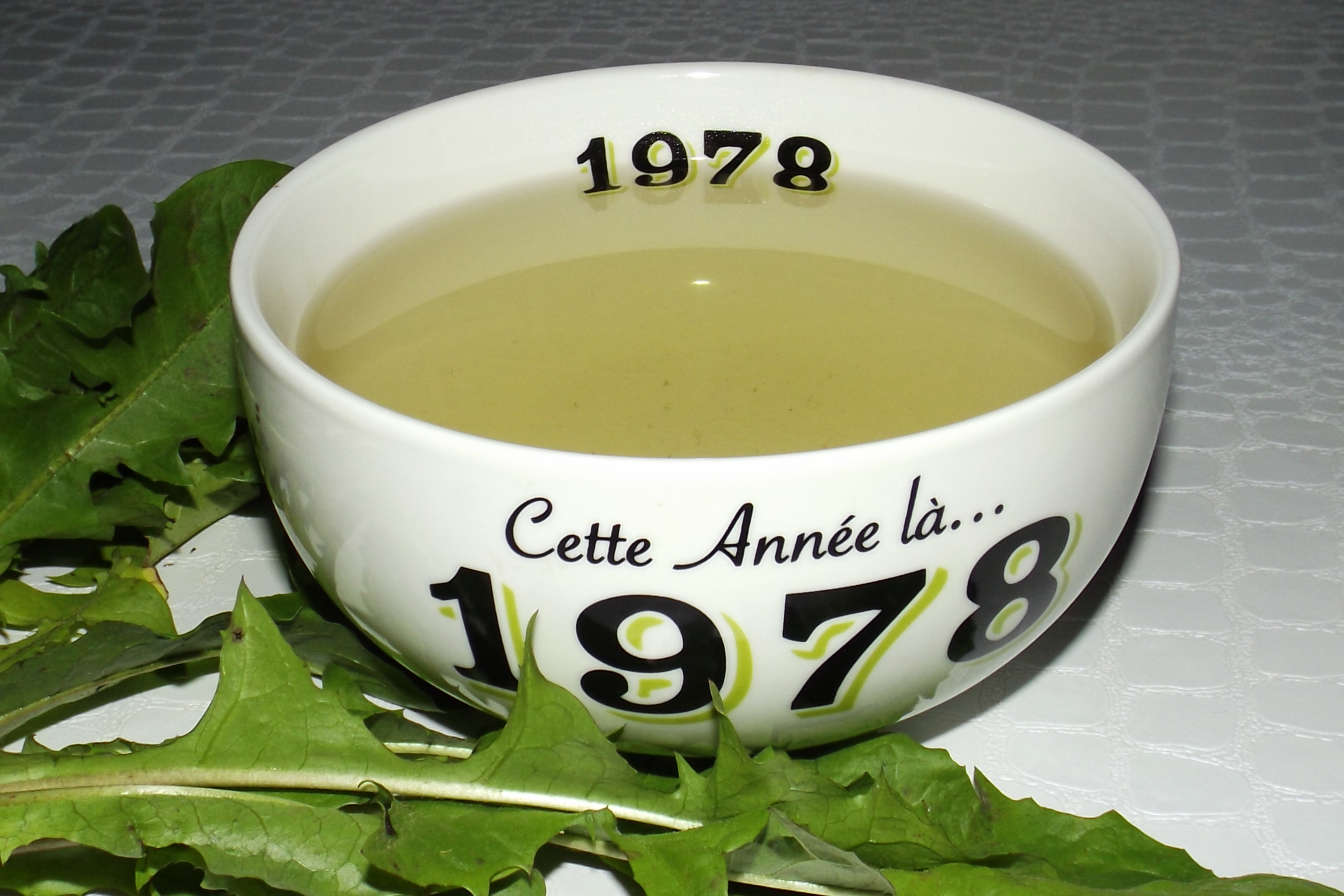 Tisane « coupe-faim » aux racines de pissenlit