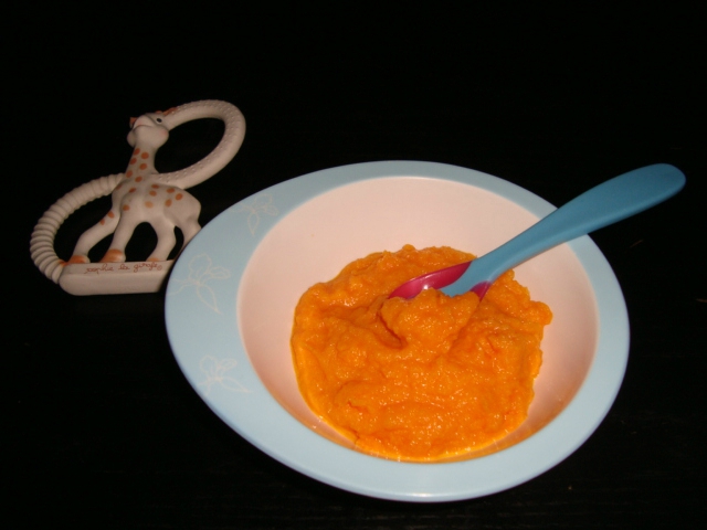 Petit pot de carotte à l&rsquo;orange DES 9 MOIS