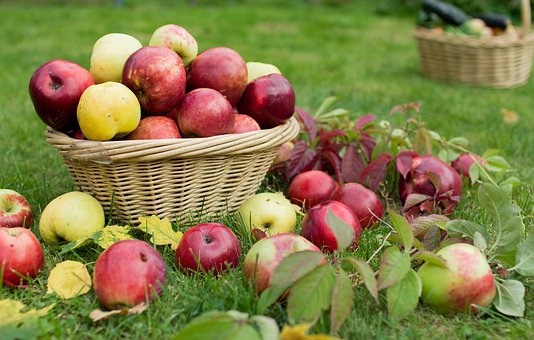60 recettes à tomber dans les pommes