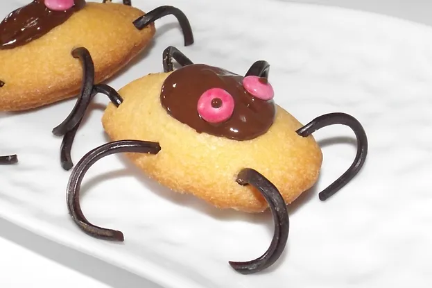 Madeleine araignée (atelier cuisine pour les enfants)