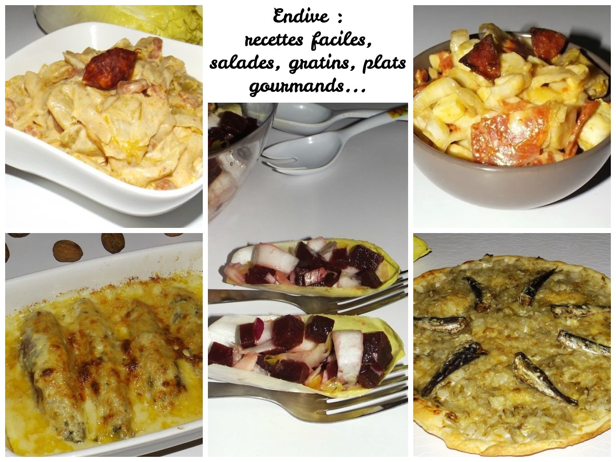 Endive : recettes faciles, gratins, salades et plats gourmands